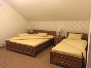 Мотели Pensiune Rosdelmar Решица Двухместный номер с 1 кроватью или 2 отдельными кроватями-4
