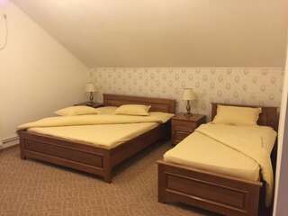 Мотели Pensiune Rosdelmar Решица Двухместный номер с 1 кроватью или 2 отдельными кроватями-7